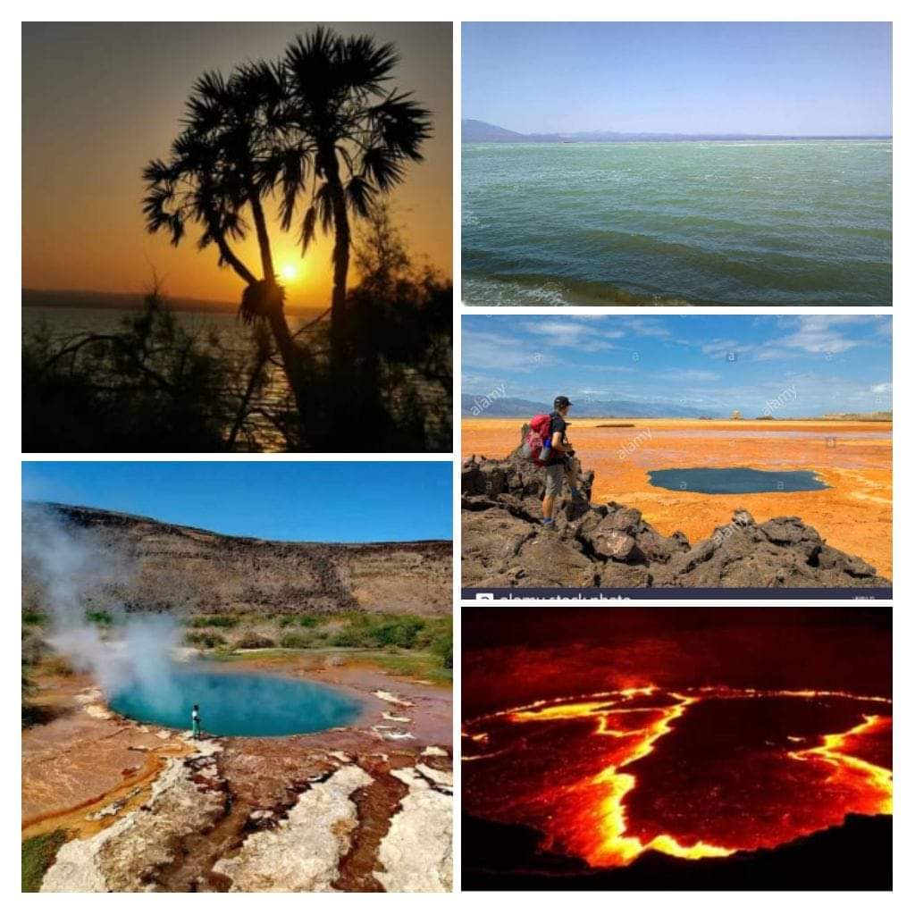 AhmedibnAfar776's tweet photo. ወደ ሀገራቸው የሚመለሱ 1 ሚ የዲያስፖራ አባላት አፋርን ይጎብኙ!
እየተዝናኑ፣ የአፋርን ውብ ምድር ይርዱ፣ ለመልሶ ማቋቋሙ የበኩልዎን አስተዋጽኦ ያበርክቱ።
 #አንድ_ሳምንት_በአፋር

For Ethiopian Diaspora and Business Communities!
#አንድ_ሳምንት_በአፋር https://t.co/Exdui8bdIJ