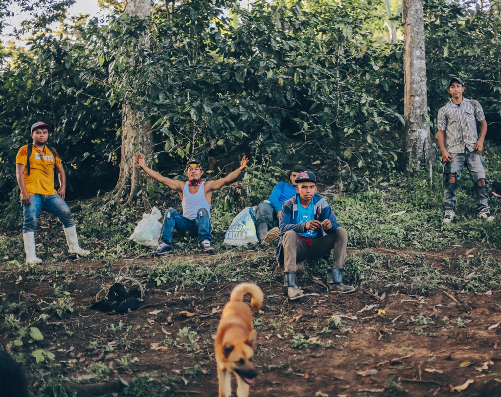 Wize Tea tweet media