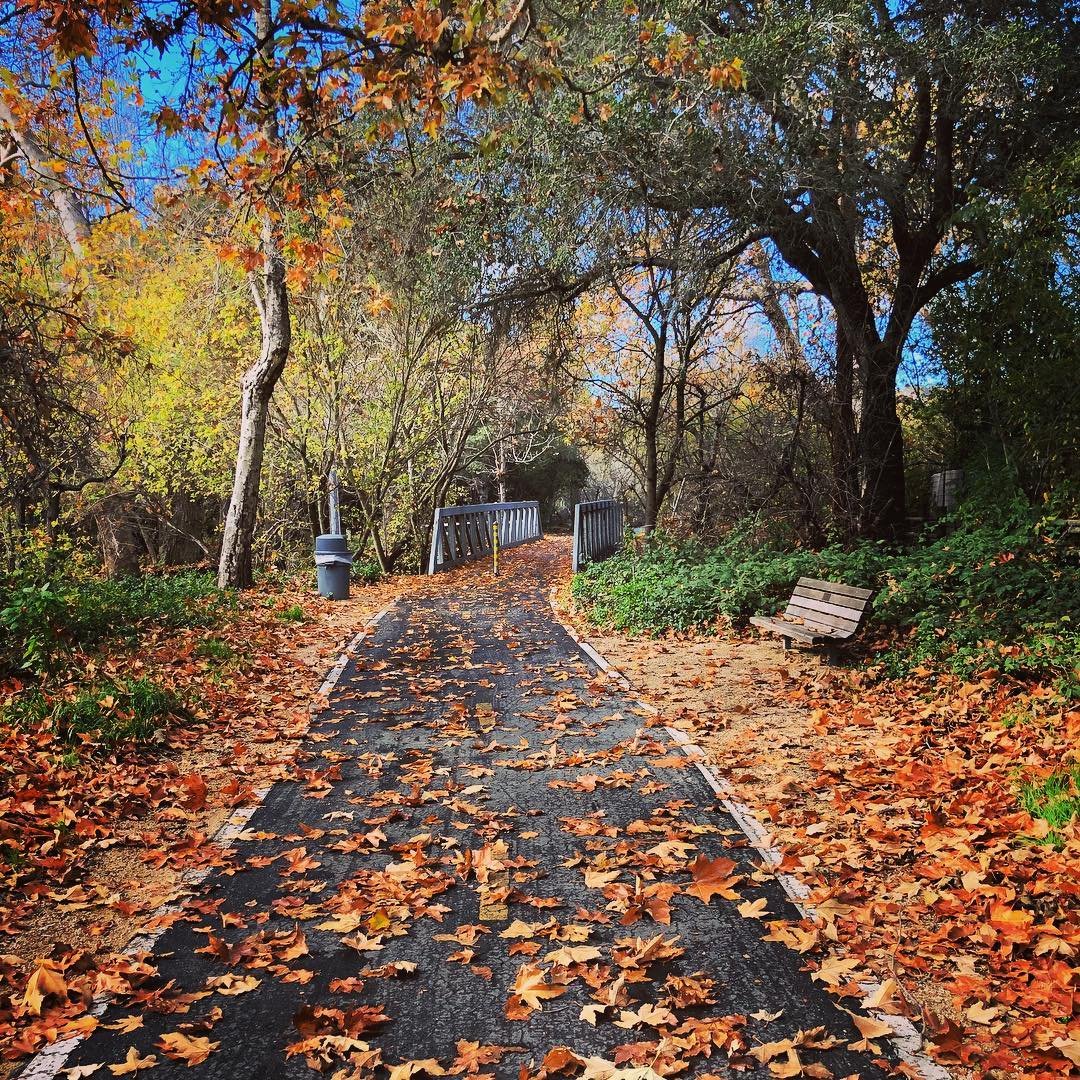 CobbosBH's tweet photo. Work off those extra holiday calories and enjoy the seasonal scenery by visiting the #BobJonesTrail. This trail is ideal for walking or #cycling along #SanLuisObispo Creek to #AvilaBeach that the whole family will enjoy.
#hiking #hikingtrails #adventure https://t.co/UfGR7oqPbU