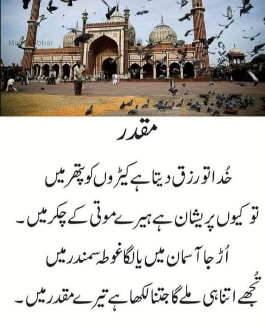 Waheed Hashmi Waheed Hashmi (@waheed_hashmi1) | Twitter