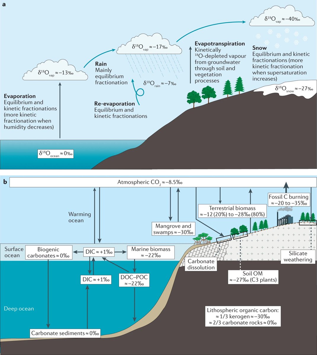 It's Boxing Day📦in the UK, so we're highlighting the review 'A stable isotope toolbox 🧰for #water and inorganic #carbon cycle studies'! @McMasterSEES @McMasterScience @UnivLyon1 @pghosh_ @BjerknesBCCR @Geofysen nature.com/articles/s4301… Free-to-read: rdcu.be/cyBqx