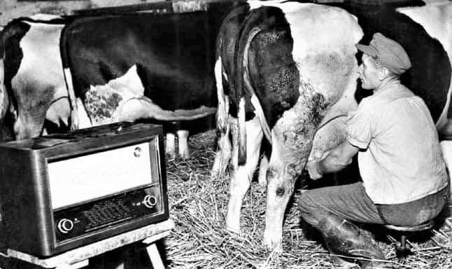 JantjeEggink's tweet image. De beesten stoat op stal en mien clubske mot straks de wei in …. Nog ene keer vol gas veur de winterstop @DeGraafschap #GeenGenade #VolGas #jutGRA