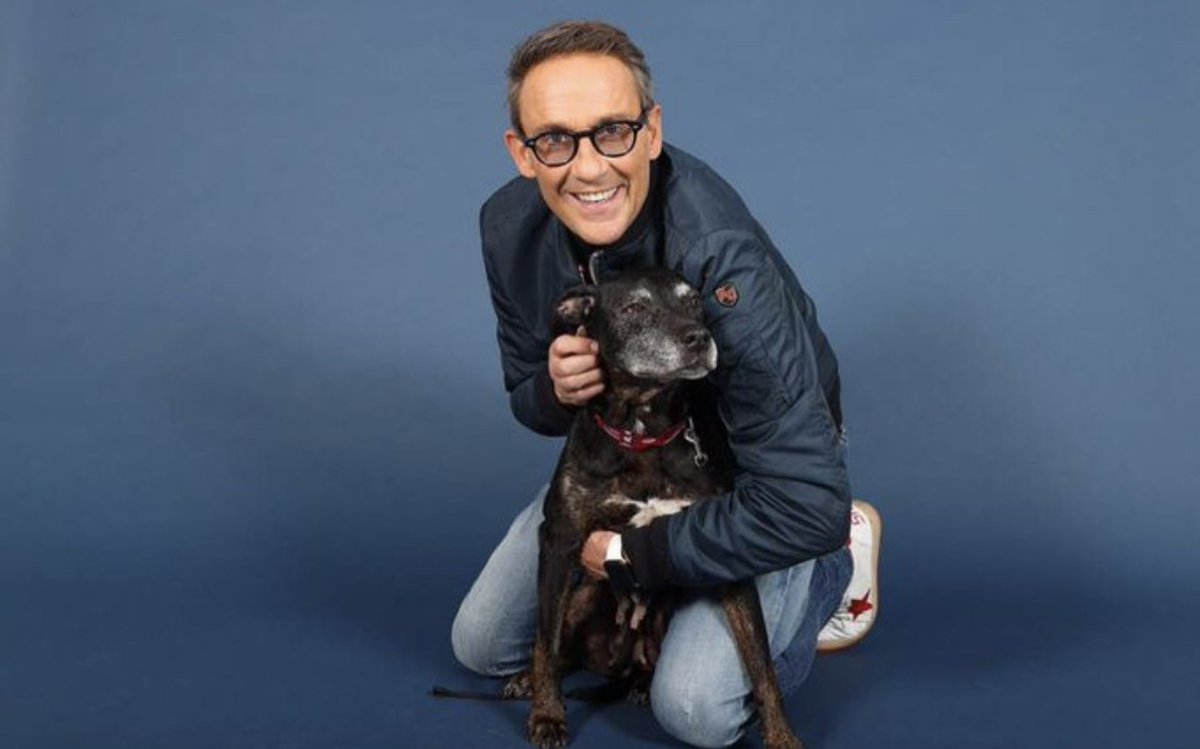 courbet_julien's tweet photo. Voici princesse ce vieux chien dont j’ai parlé récemment sur RTL qui est à la #SPA et qui cherche désespérément une famille. un amour Caline elle dort bc et elle mérite d’avoir quelques années en dehors de sa cage. En appart ça marche avec quelques promenades .spa Gennevilliers https://t.co/u69G6mtN1N