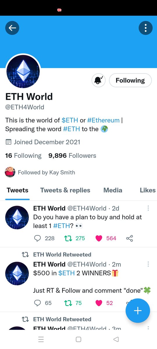 Dina Colney tweet media