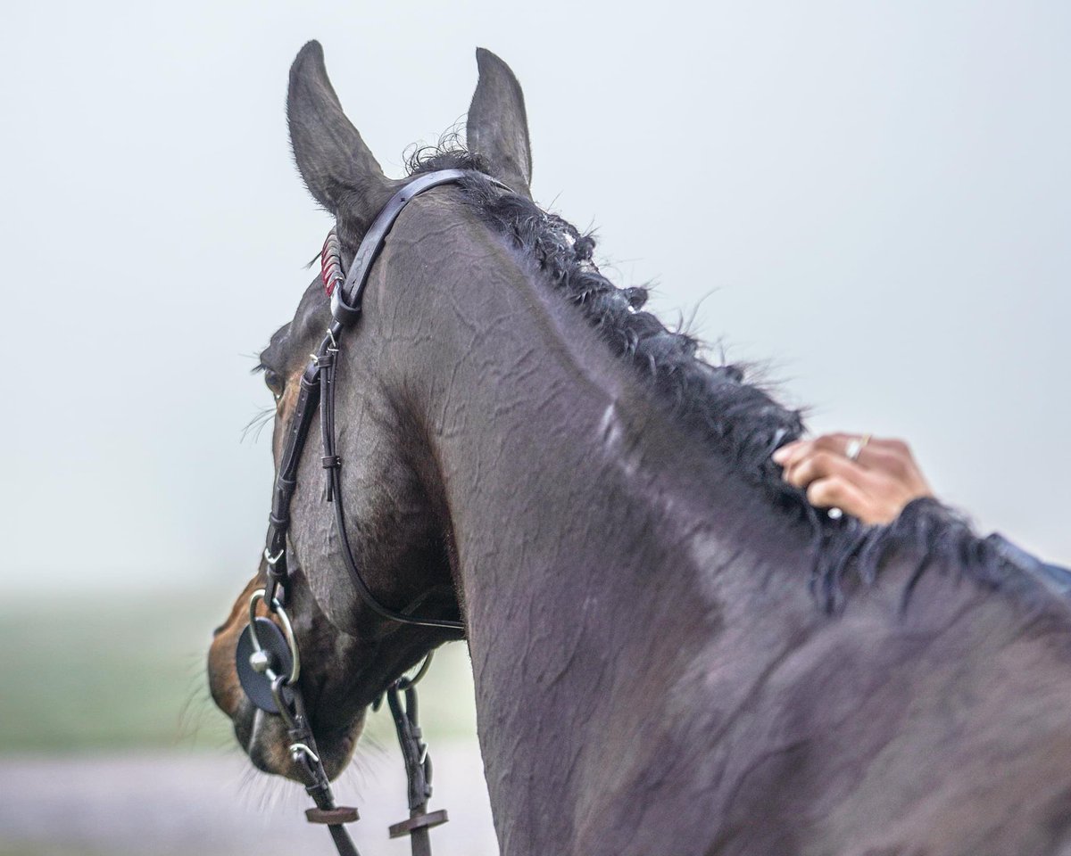 Never be afraid to get lost in the fog