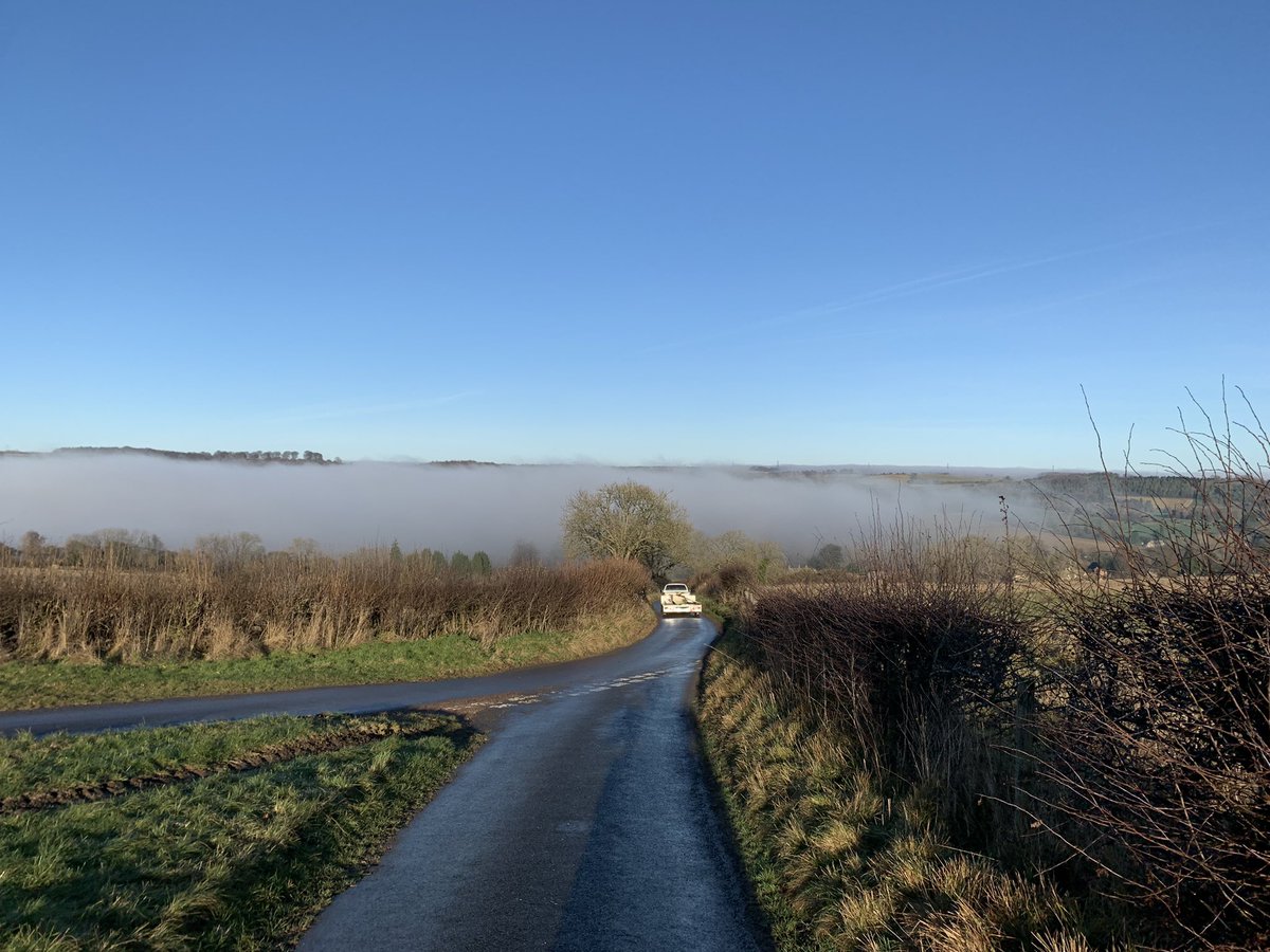 Abi Beynon-brown tweet media