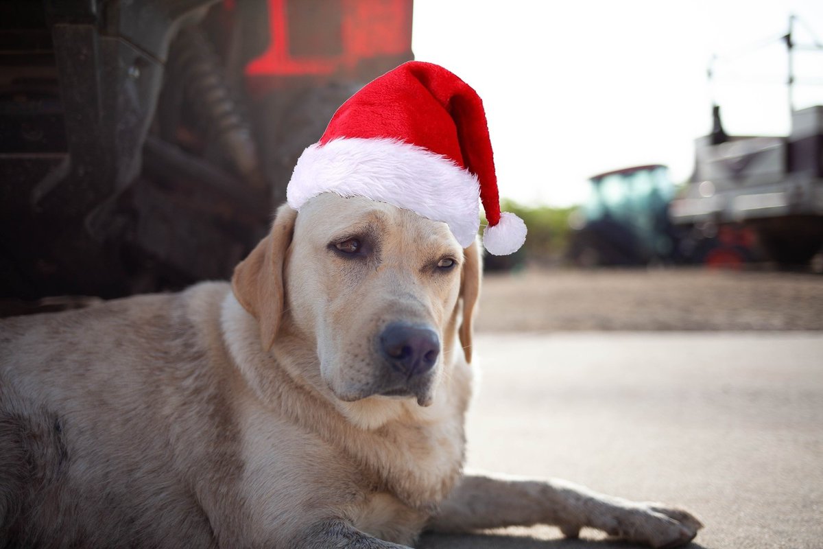 Old Saint Nik has made her list, checked it once, and now she's checking it twice. Next week, our mailing list will see an exciting gift selection delivered to their inbox.👀 Make sure you're subscribed to our newsletter! bit.ly/3mlSJLP