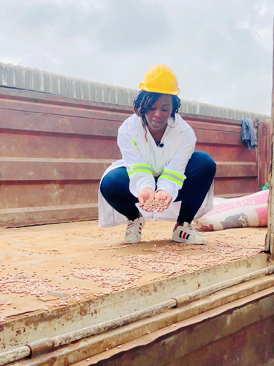 Out and about today in Cleveland Msasa at Silo Food Industries Manufacturing Depot . Sorghum, finger millet , maize , sugar beans to all sourced from our local farmers and value added into food stuffs for both local and export markets .