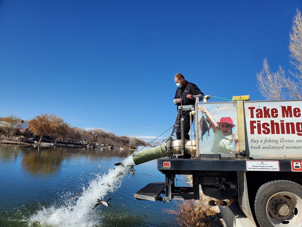 NMDGF's tweet photo. Hey Albuquerque, are you ready to catch some fish?
David Ziegler, from Lisboa Fish Hatchery, stocking Tingley Beach's main pond last week. #fishnm #wildnm https://t.co/SdGUSpi9bE
