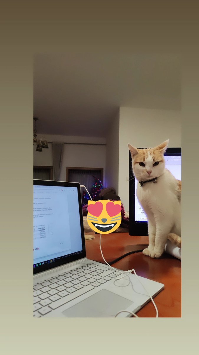 My DAX teacher 🐾 <a href="/FerrariAlberto/">Alberto Ferrari</a> <a href="/bvmather/">Brian Mather</a> #DAX #PowerBIWomen #ActionBI