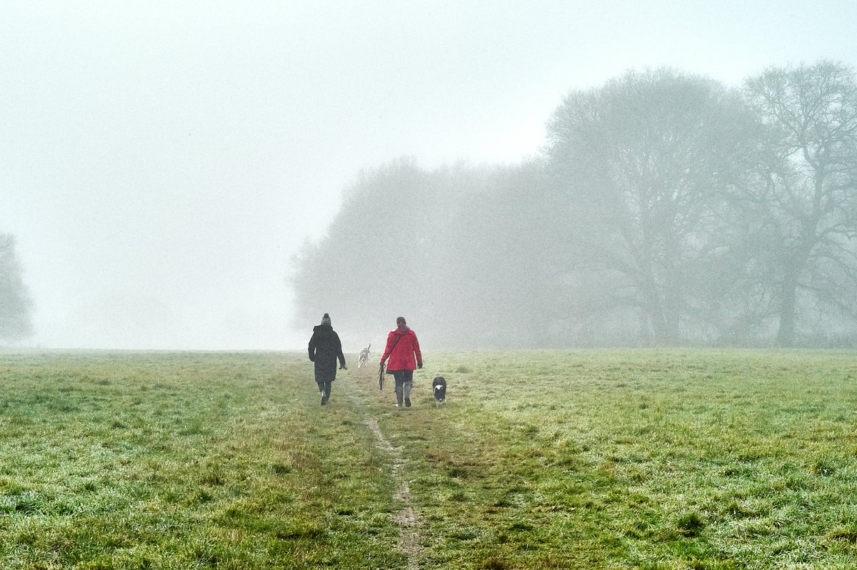 pea34101992's tweet photo. Leica M9 foggy field #leica #leicam9 #contaxg #contaxg45 #contax45mm https://t.co/15djpMkqYC