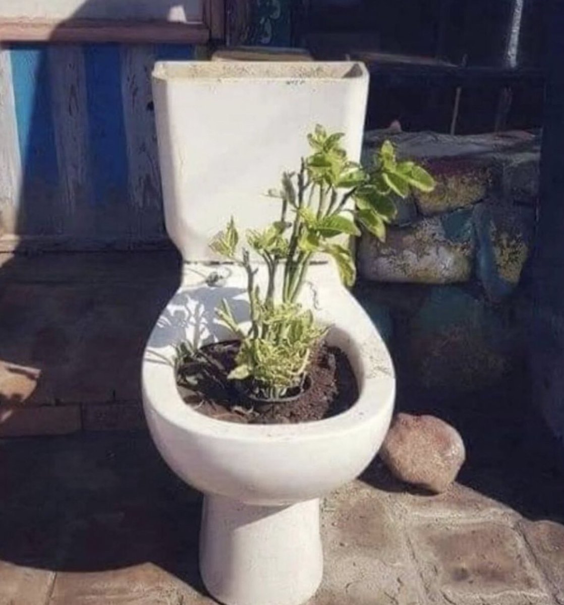 لما تزرع الأمل في علاقة توكسيك😂🤷🏼‍♀️