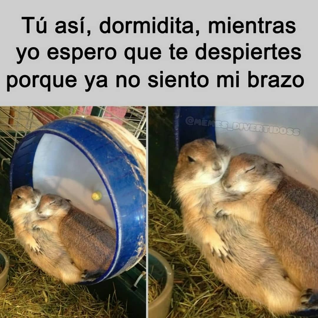 ElAlacrancillo_'s tweet photo. Yo con @Carol_SaBe 😘 https://t.co/Z9fGm17WPV