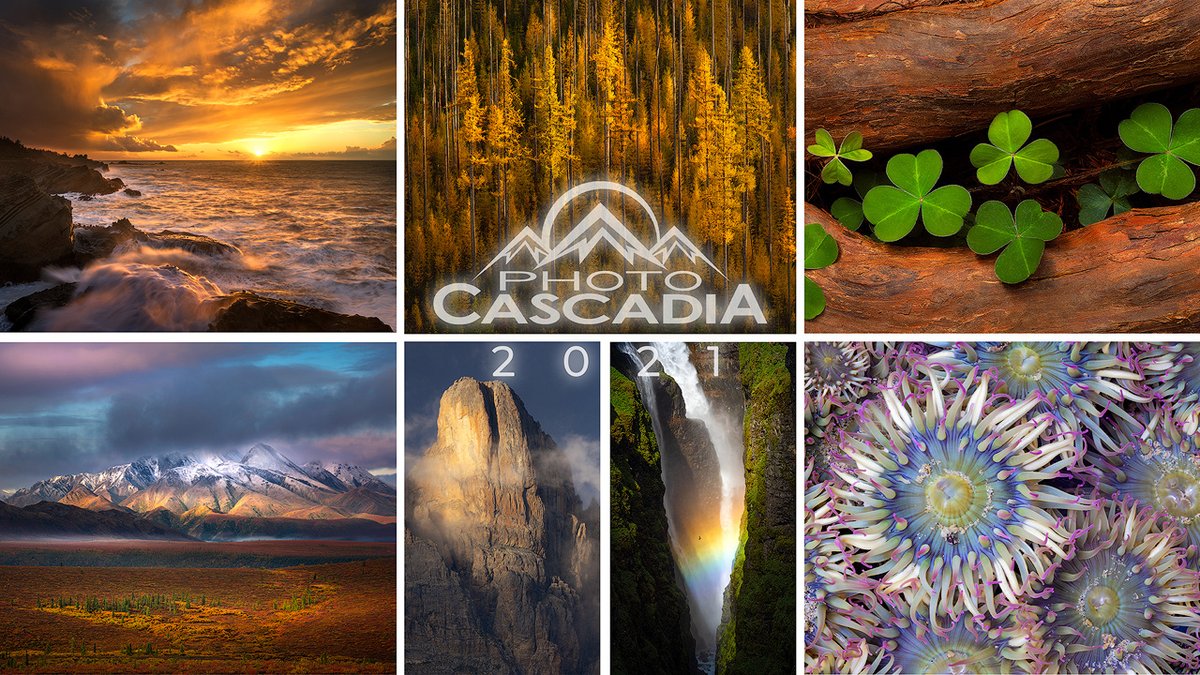 It's here! Photo Cascadia's annual Year In Photography highlight reel. Enjoy :-)  youtu.be/1tFhhCp33zI

Photo Cascadia is <a href="/ErinBabnik/">Erin Babnik</a> <a href="/ChipPhillips_/">Chip Phillips</a> <a href="/dmcobbphoto/">David M Cobb</a> <a href="/kevinmcneal30/">Kevin McNeal</a> <a href="/ZackSchnepf/">Zack Schnepf</a> <a href="/AdrianKleinPNW/">AdrianKlein</a> and your's truly.