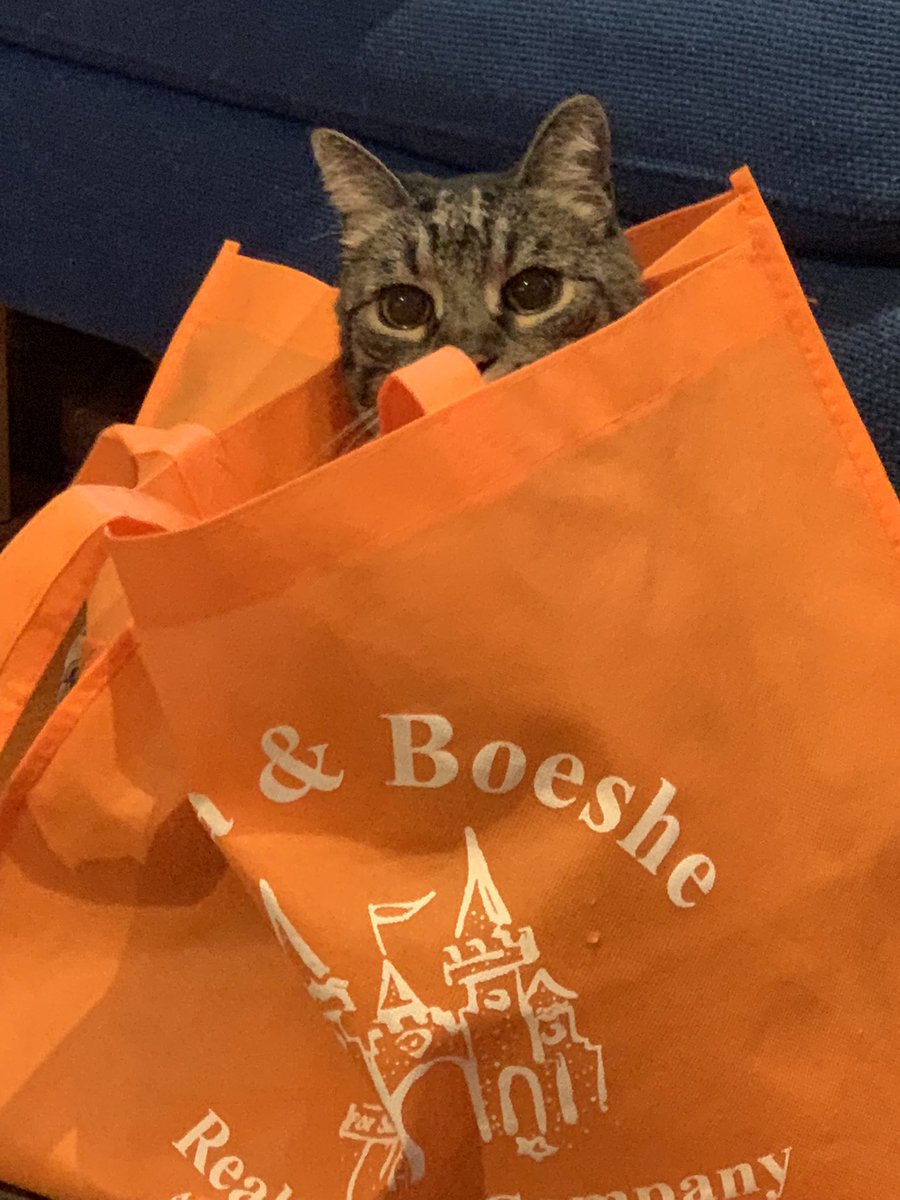 poogupdate's tweet photo. bag https://t.co/dd2bxJ1gk7