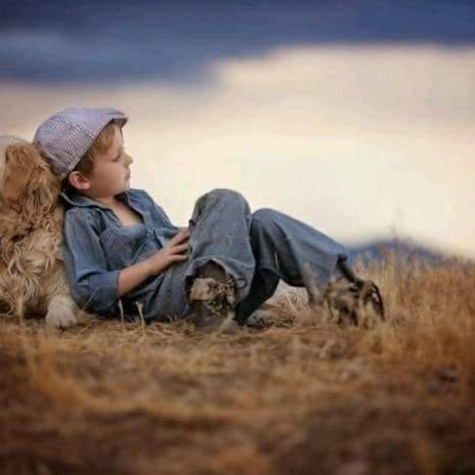 " تعُاش الحياة بالنظر الى الأمام وتُفهم
بالنظر الى الخلف "
#انشهد