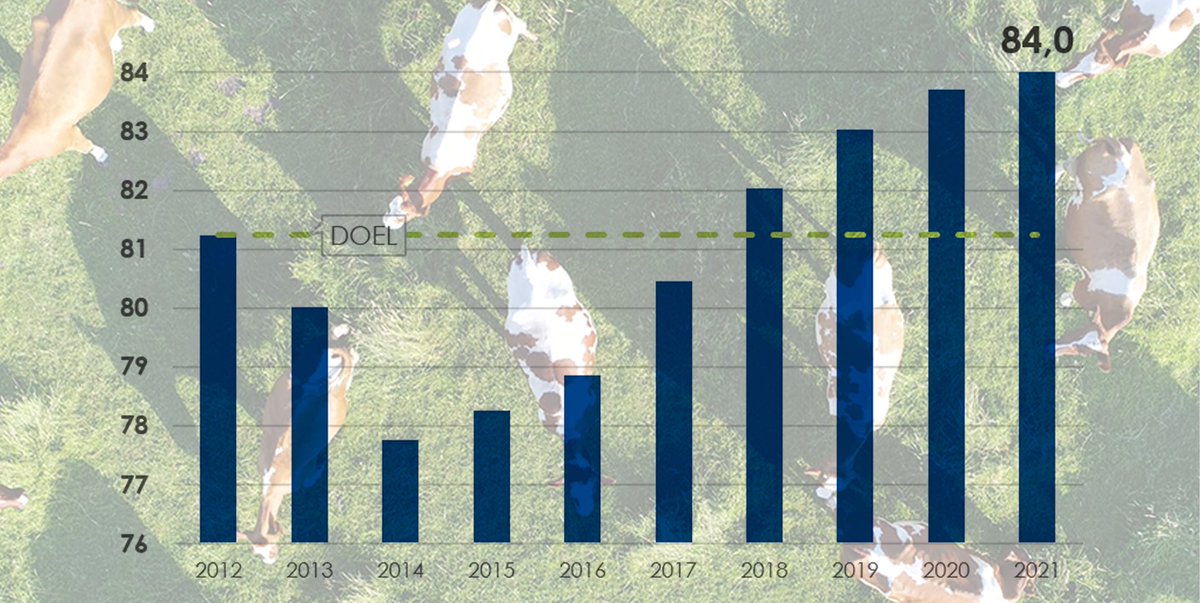 Weidegang neemt opnieuw verder toe. Het percentage melkveebedrijven dat de koeien in de wei laat lopen is in 2021 gestegen tot 84%. Lees meer 👉bit.ly/3mnQdES