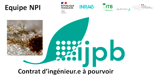 INRAE_IDF's tweet photo. Offre d'#emploi : CDD ingénieur.e 18 mois, "Caractérisation #phénotypique et #moléculaire de l’interaction entre Cercopsora beticola et Beta vulgaris" @ijpb_fr @AgroParisTech @UnivParisSaclay @INRAE_France  @Versailles
▶️https://t.co/a0D57jYm7x https://t.co/dnFyklh79G