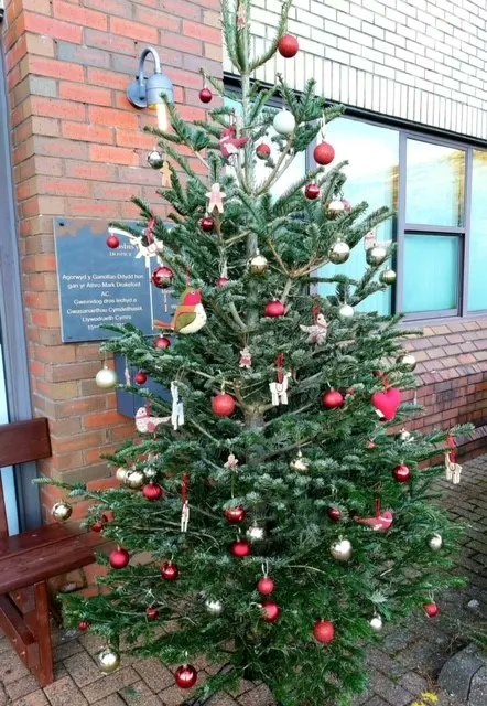 A HUGE Thank You to Cwm Cwrt Farm Shop who have donated this beautiful Christmas Tree to us. 🎄🎄🎅🎅

We are always grateful for the support and generosity of local businesses. Wishing you all a Merry Christmas and a Happy New Year!! 🎁🎁🎉 🎉 

@cwmcwrtfarmshop