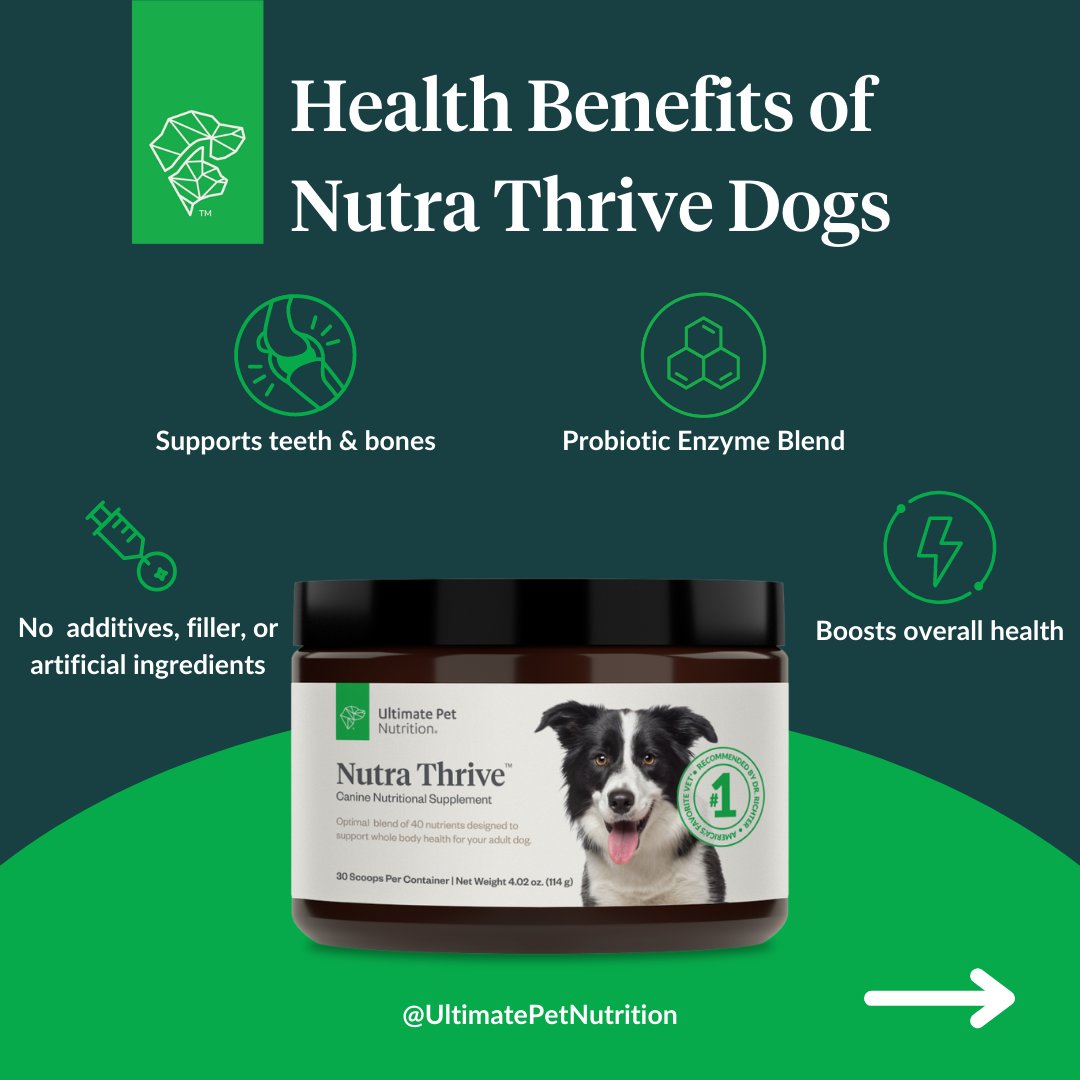 ultimate dog nutrition