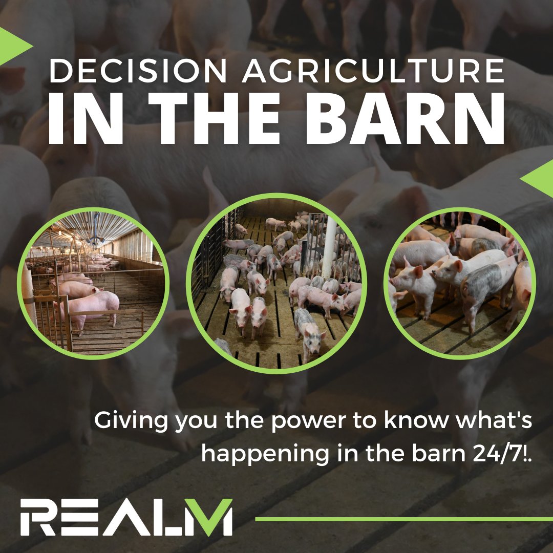 RealmFive's tweet photo. Connect all your barns, with minimal disruption.
To learn more about the RealmFive View solution, visit: https://t.co/uU4ypmqZsA
#agronomy #realmfive #agchat #farming #agribusiness #agtech #smartfarm #swine #livestock https://t.co/upy2SWRsKB
