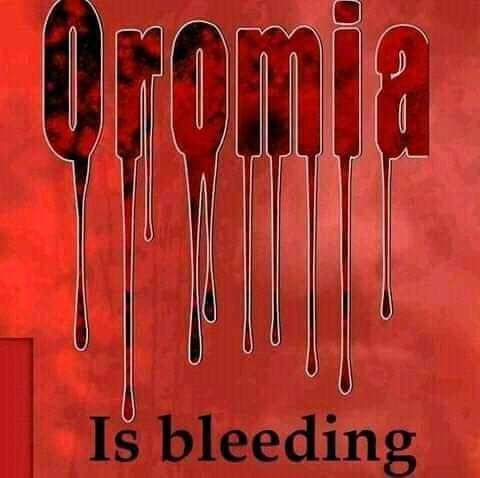 FAbdiisa's tweet photo. @BashirHashiysf https://t.co/VPeZVvzpom