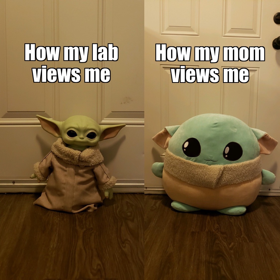 Expectations vs reality. Happy #MemeMonday! Good luck with your experiments this week and #staysafe this holiday season!