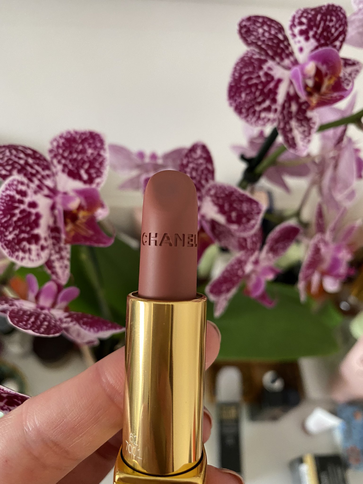 Elena Toma on X: I still wear lipstick, every day and for no reason. I  love wearing lipstick and it makes me feel good. Today Chanel Rouge Allure  Velvet in 62 Libre #