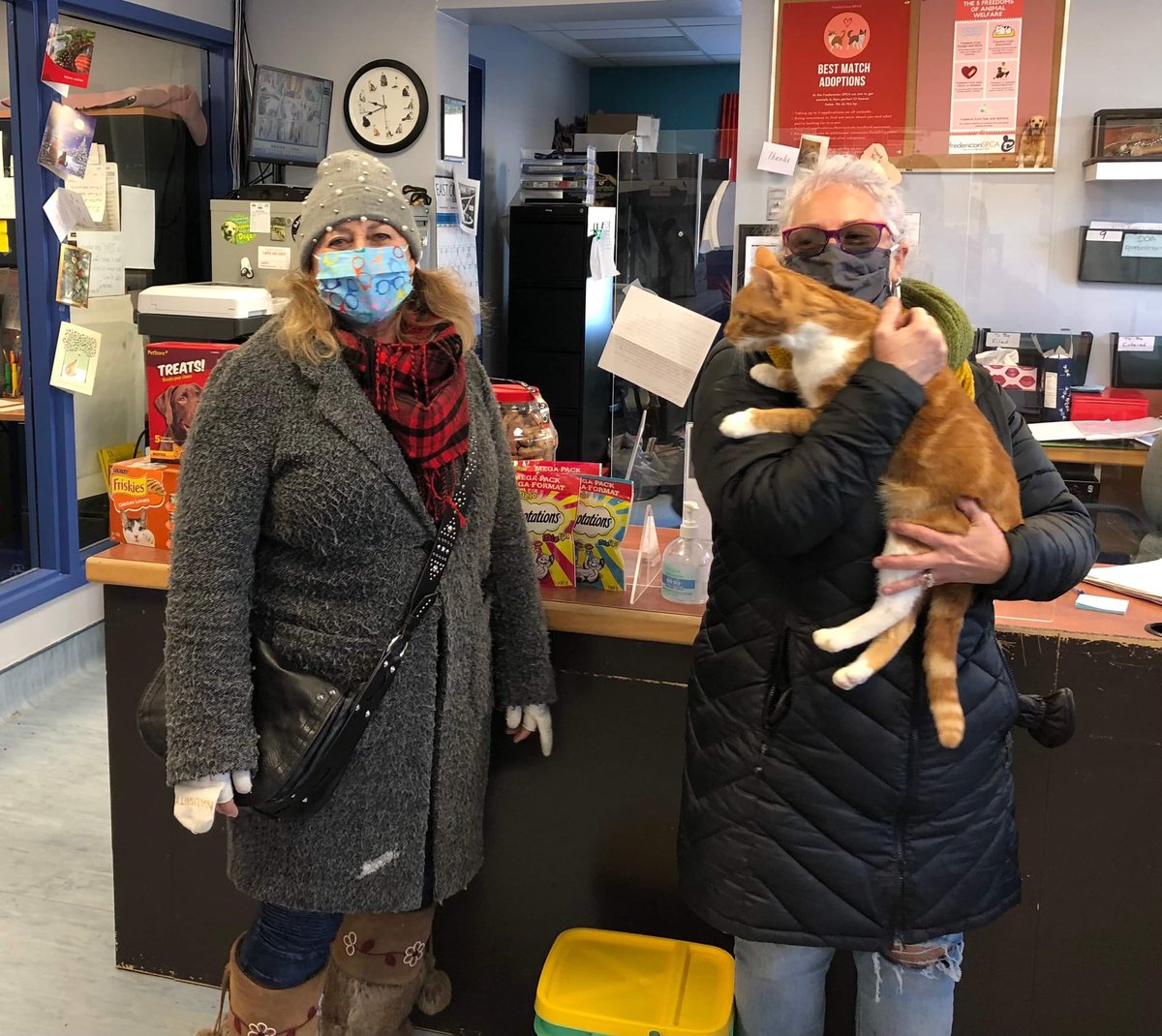 Fredericton SPCA tweet media