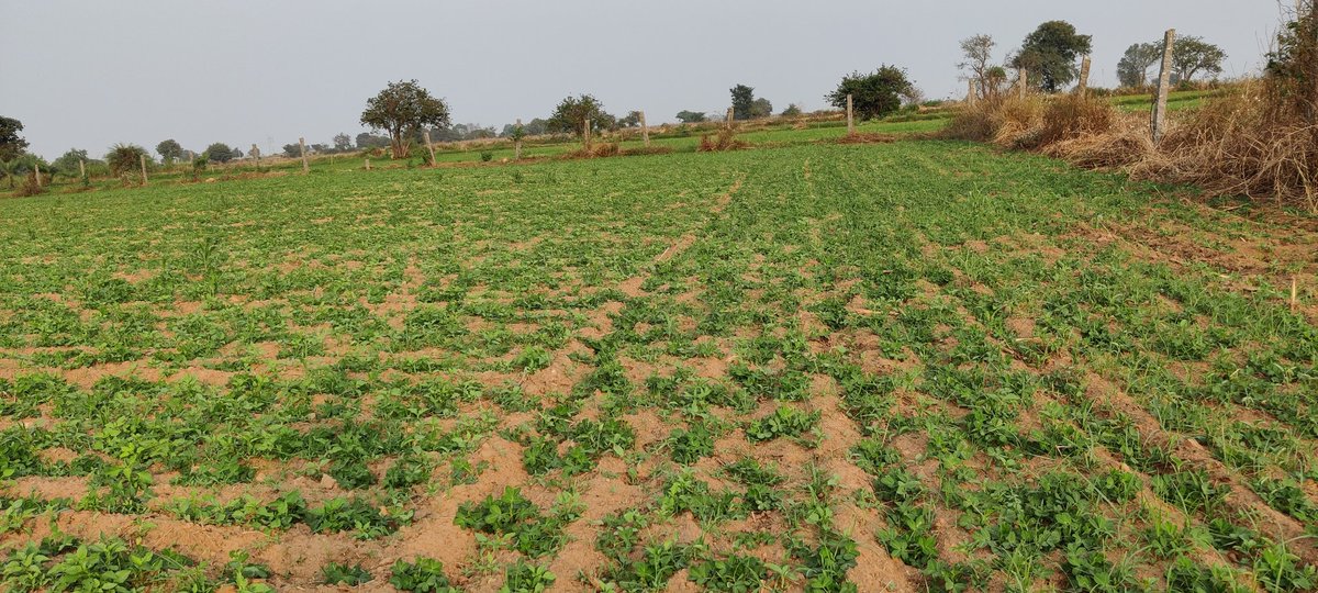 estates_sri's tweet photo. 2 Acres Agriculture land For Sale
https://t.co/Hw1Y5p1moi https://t.co/Vmcq5mm7xU