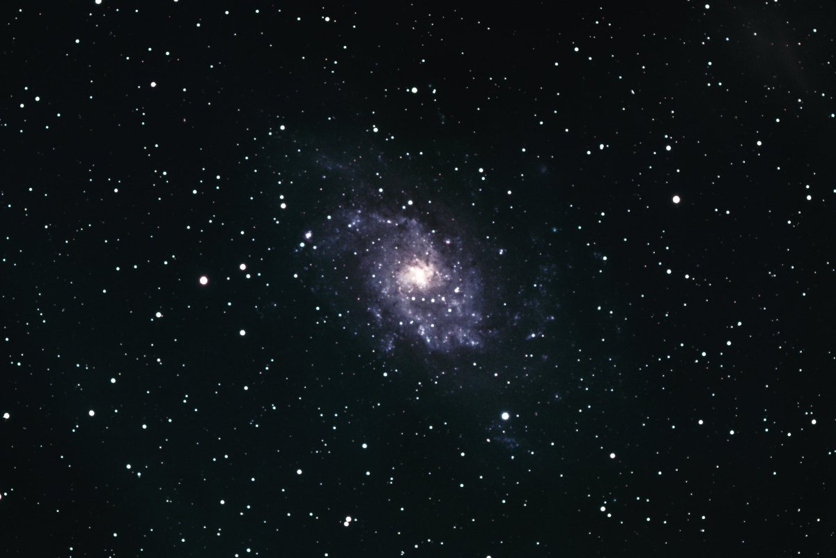 Corentin 🪐🐝 tweet media