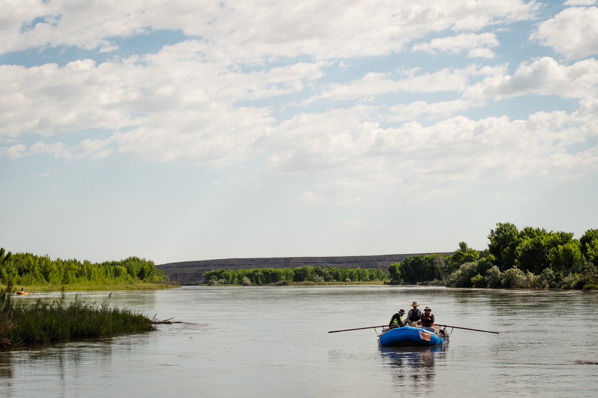 The Uinta Basin is beautiful. It’s definitely one of the most overlooked and underutilized sections of river from a recreation standpoint. No permits, stunning county and bountiful wildlife.
#rafting #powell150 #greenriver