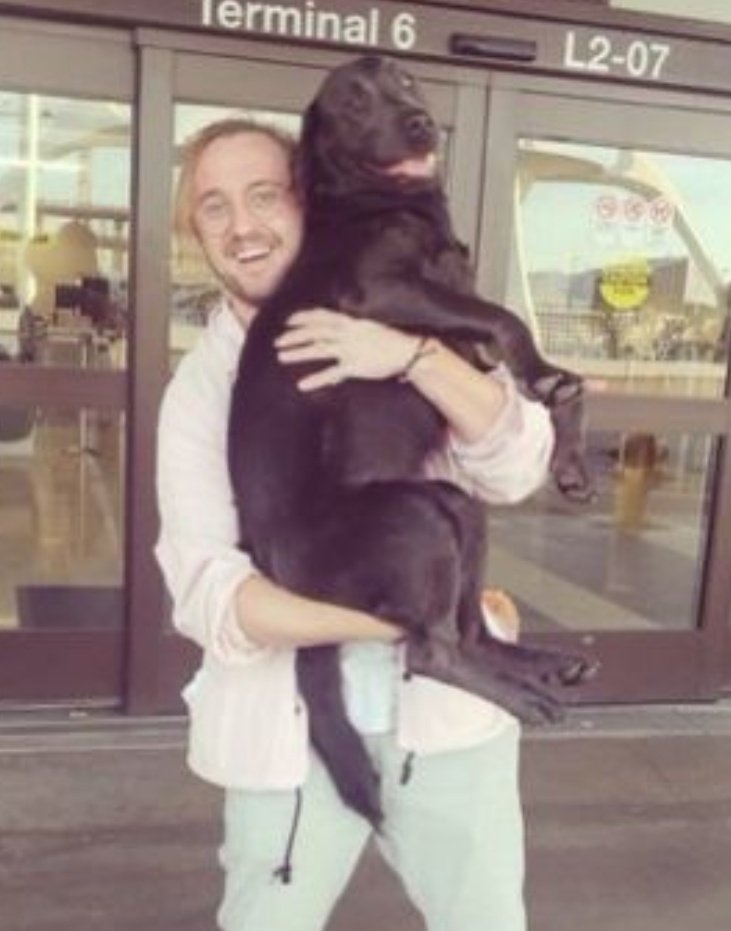tomstypos's tweet photo. cute duo, am I right? - A🖤 https://t.co/jij2V808Vc