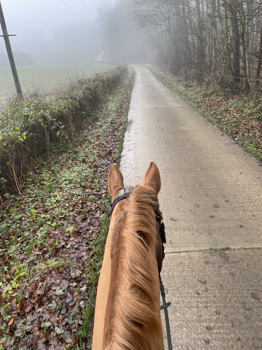 Samantha Coldbeck tweet media