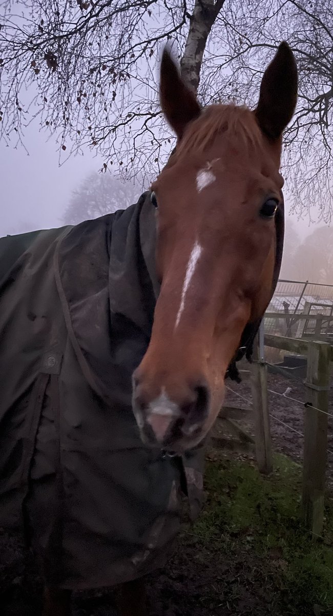 Samantha Coldbeck tweet media