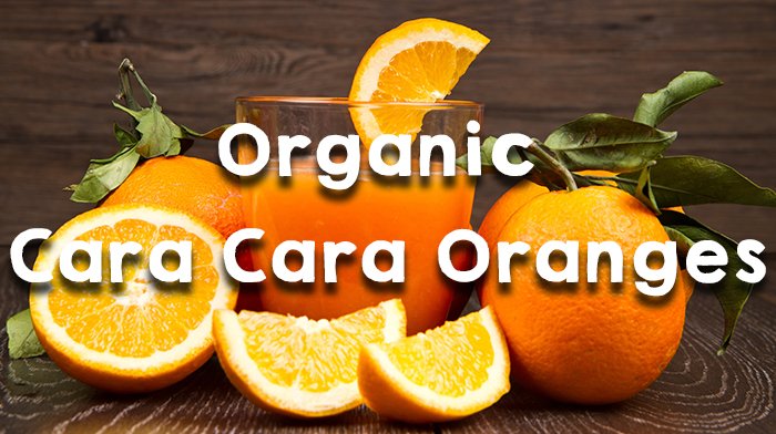 GrubMarket tweet media