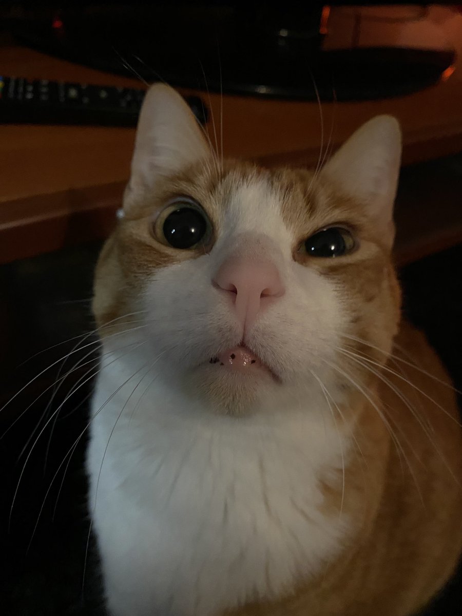 Cláudia tweet media