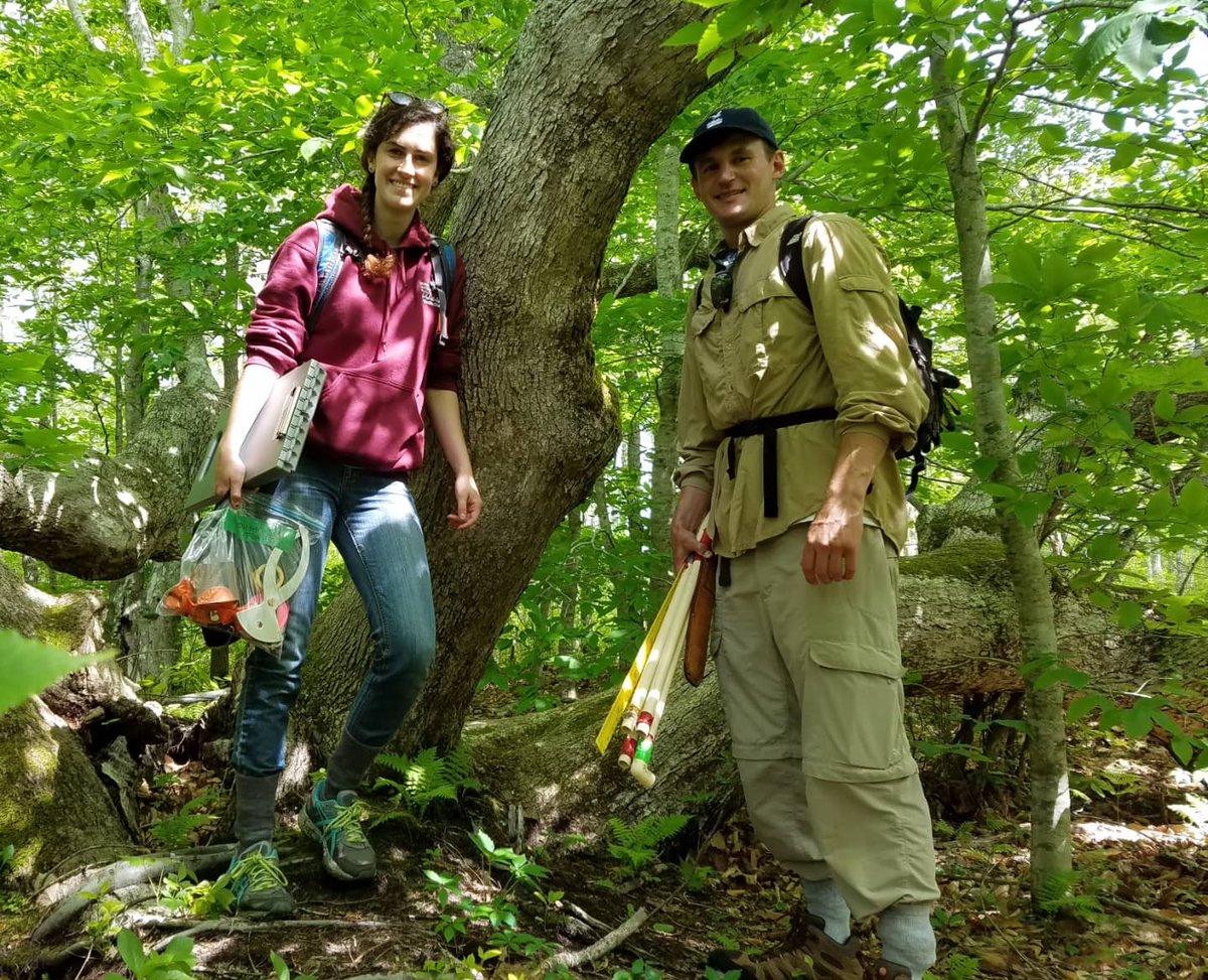 Nantucket Conservation Foundation tweet media