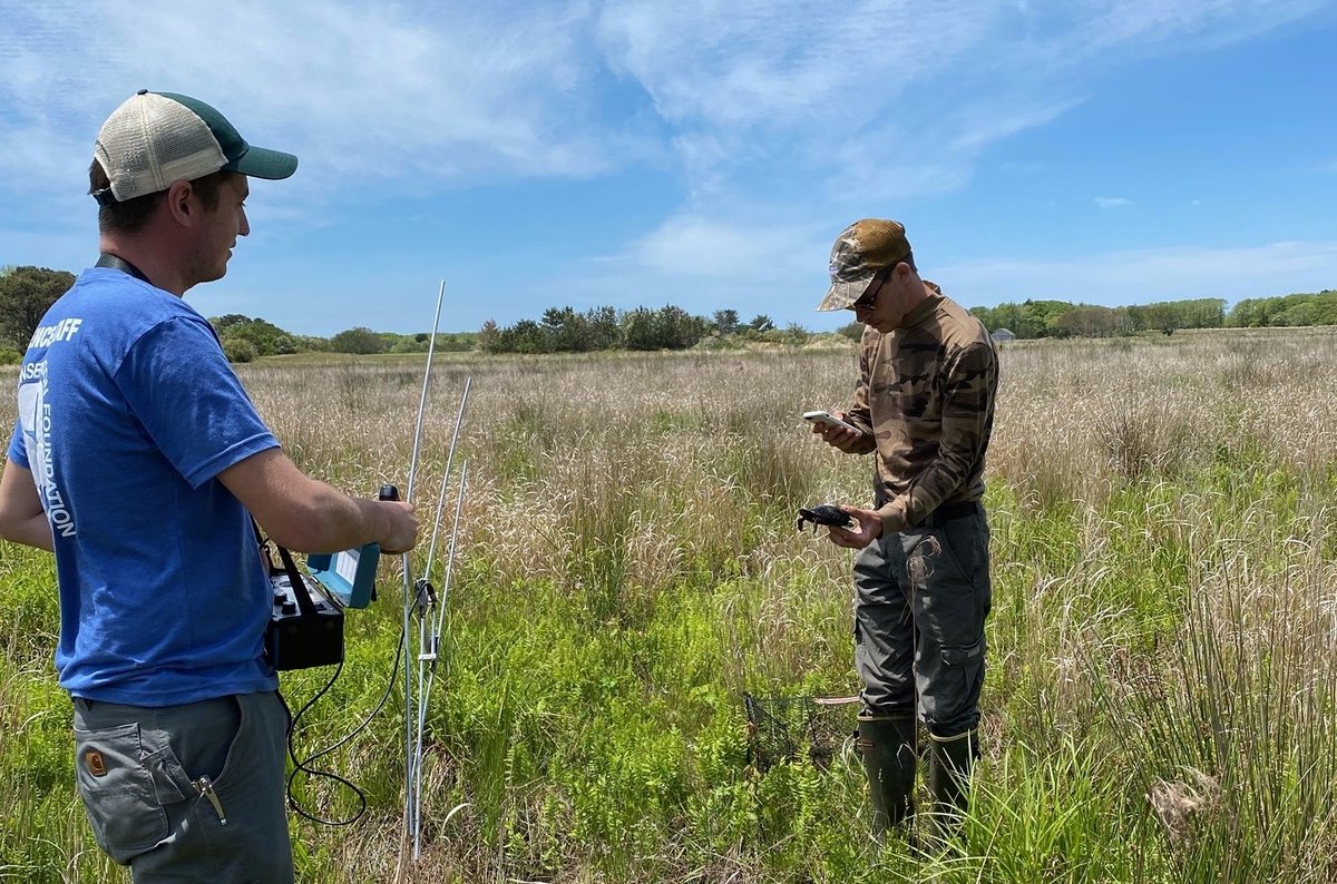 Nantucket Conservation Foundation tweet media