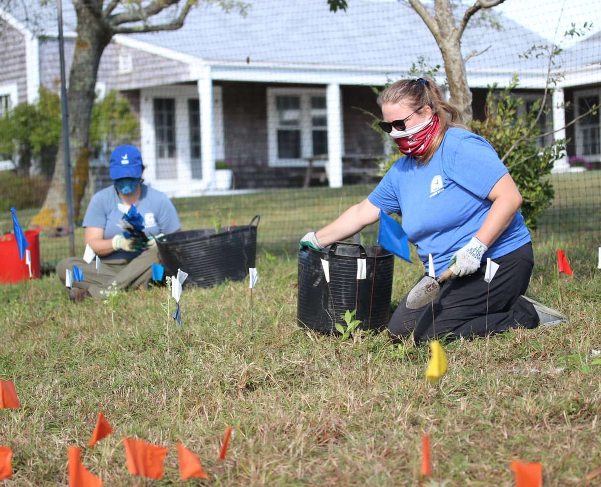 Nantucket Conservation Foundation (ackconservation) Twitter Tweets • TwiCopy