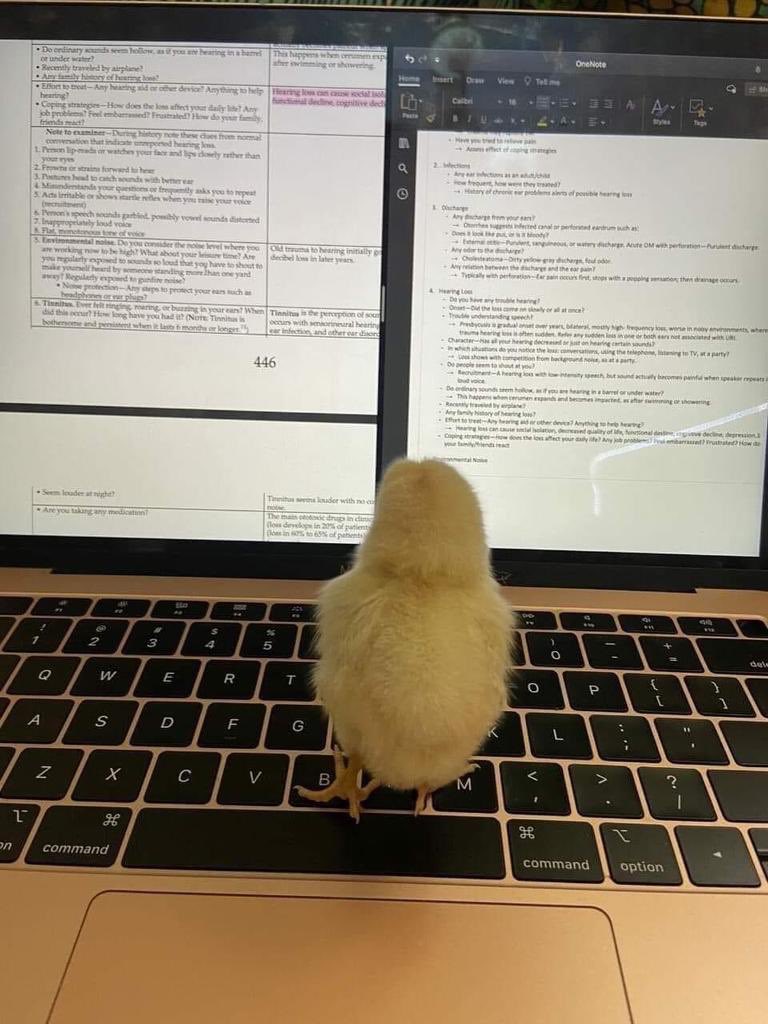 لما توسع منك وانتا علي الله