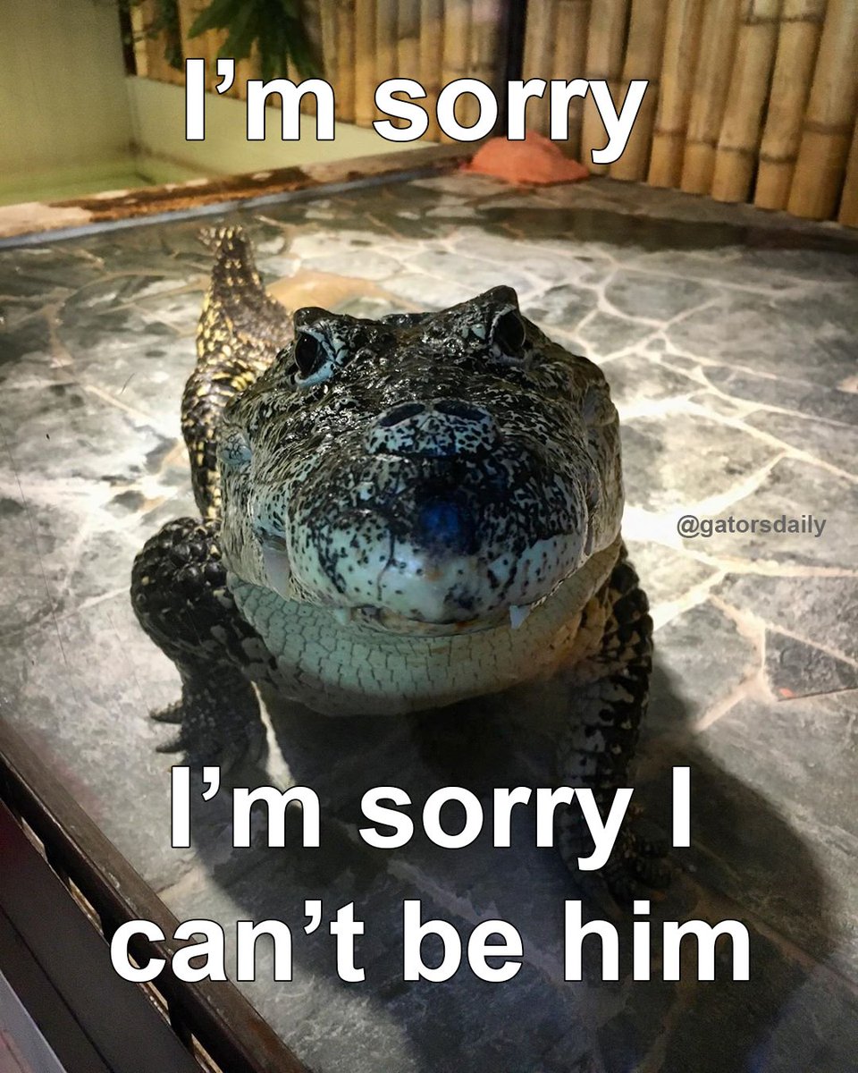 GatorsDaily's tweet photo. https://t.co/sPo0jzNttv