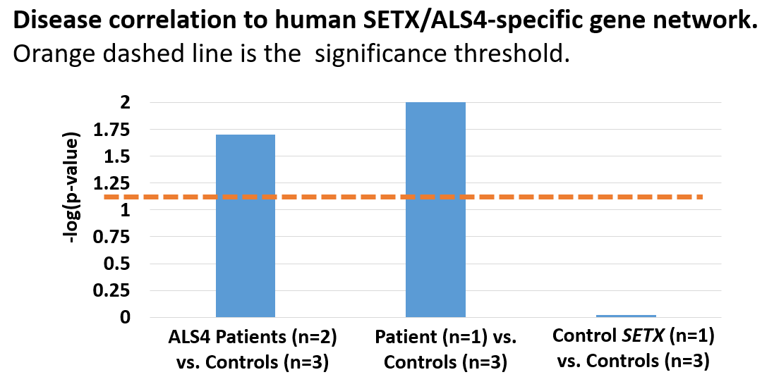 Hadjinicolaou &amp; Ngo #SETX confirmed functionally to cause a rapidly progressive early‑onset #neurogenetic disorder w severe polyneuropathy @Fogellab collab w C Bennett Al La Spada &amp; Grace Yoon #ALS4 <a href="/UCLANeurology/">UCLA Neurology</a> <a href="/UCLAHealthNews/">UCLA Health News</a> <a href="/SickKidsNews/">The Hospital for Sick Children (SickKids)</a> <a href="/NAF_Ataxia/">National Ataxia Foundation</a> rdcu.be/cDtVw