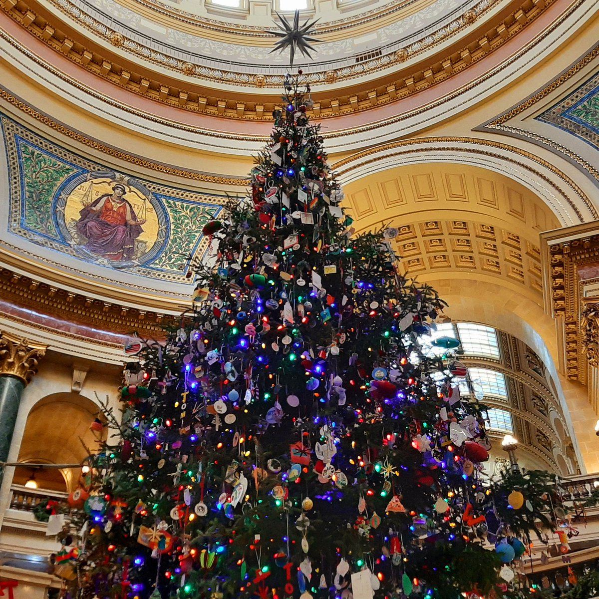 JacMSherry's tweet photo. One nice thing about working downtown is being able to stop by the capitol and visit the state holiday tree! #madisonwi #madisonwisconsin #wisconsincapitol https://t.co/aRJVfLTppk