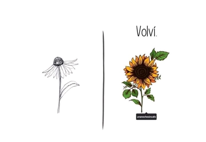 Embape78's tweet photo. 🌻 https://t.co/fsVyjcAoPU