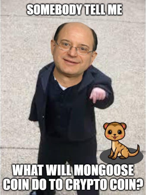 altrealite's tweet photo. @iamcardib Ask @BradSherman $mong @mongoosecoineth https://t.co/h5zVdyRT5Y