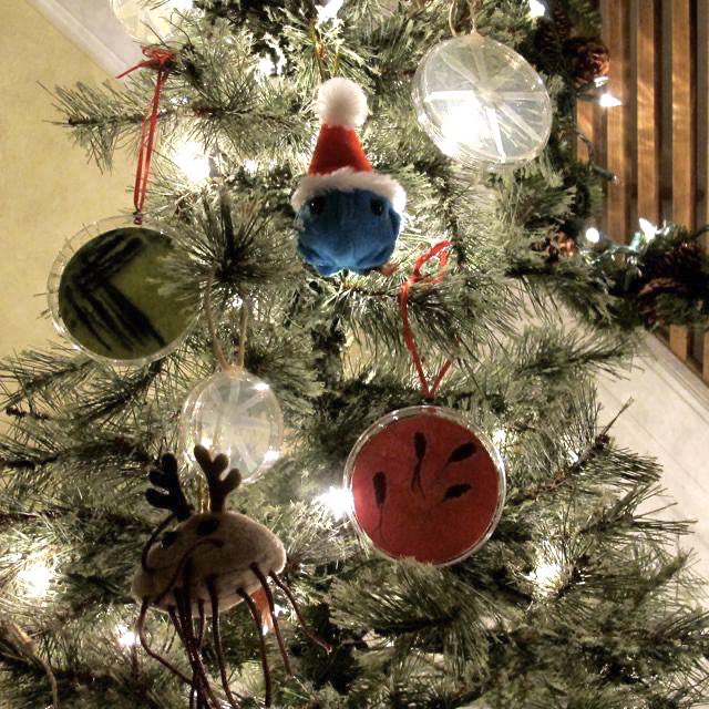 markowenmartin's tweet photo. It’s always #MicroMas to me. https://t.co/iJRGFtSev2