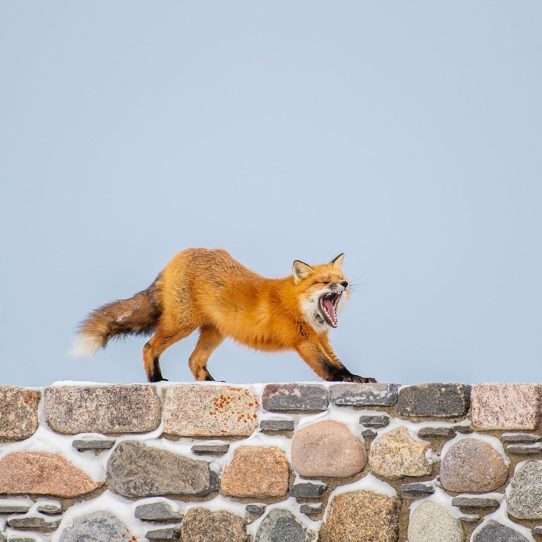 DisenoWebPlus's tweet image. Que no te dé pereza tener tu página Web. Nosotros te la diseñamos. Contáctanos 😃 disenowebplus.com 🔥 #disenowebplus #disenoweb #negocios #negociosdigitales #negociopropio #negociolocal #pymes #pymechallenge #siguemeytesigoツ #SiguemeYTeSigoDeVuelta #SiguemeYTeSigo