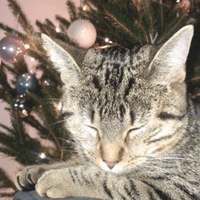 DemoneOni's tweet photo. #NouvellePhotoDeProfil https://t.co/nRBB8nj5lX