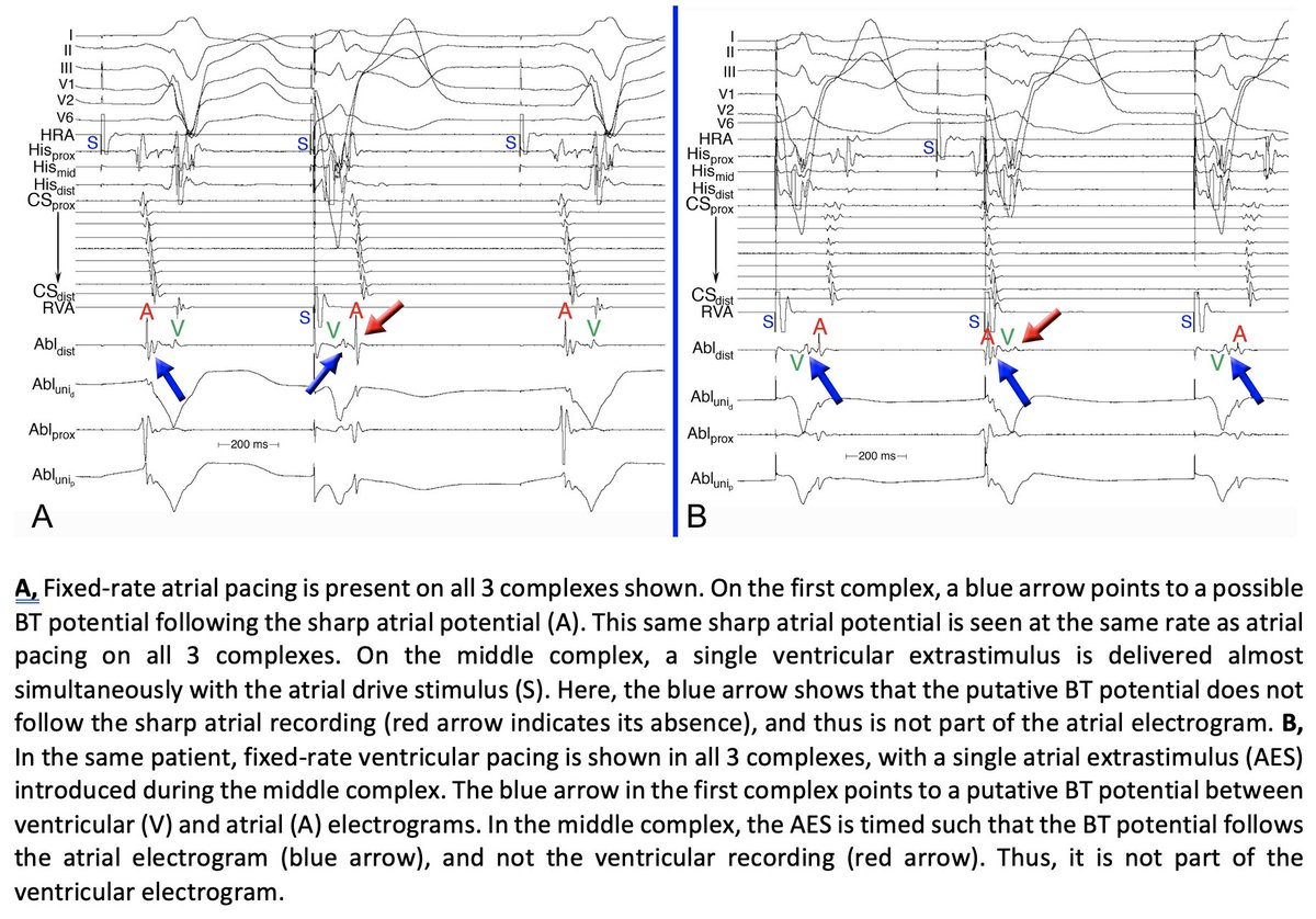 Ziad F. Issa tweet media